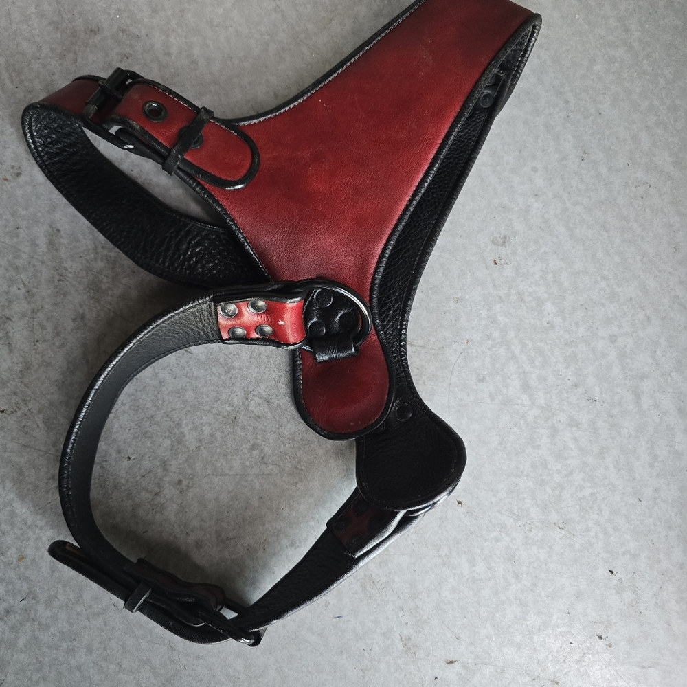 ROUGH TRADE Red Leather Harness - Picture 10 of 12